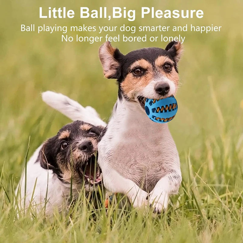 PawBounce: Bola Interativa e Mastigável para Cães